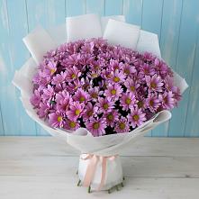 Букет цветов из:  Хризантемы #REPLACE_PRED# Донском Ставропольского края