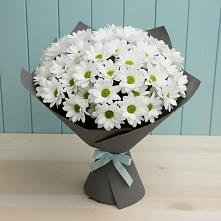 Букет цветов из:  Хризантемы #REPLACE_PRED# Донском Ставропольского края