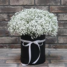 Цветочная композиция из Гипсофила в шляпной коробке в Донском Ставропольского края