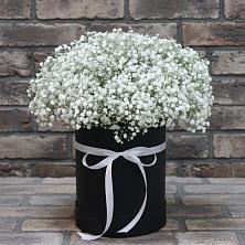 Цветочная композиция из Гипсофила в шляпной коробке в Донском Ставропольского края