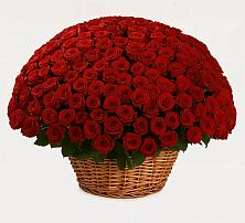 Премиум букет из: Розы в Донском Ставропольского края